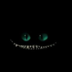 Meet your Posher, Trinity